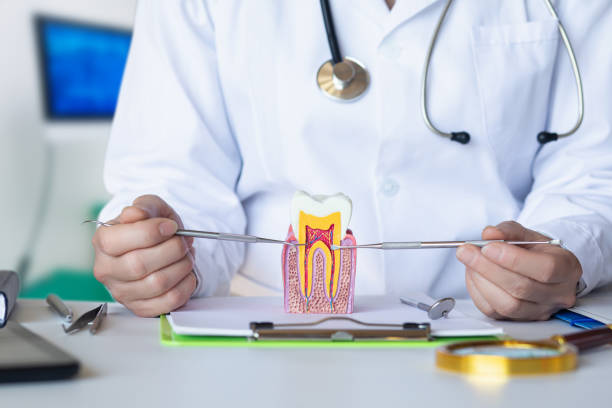 Best Dental Abscess Treatment in Maben, MS